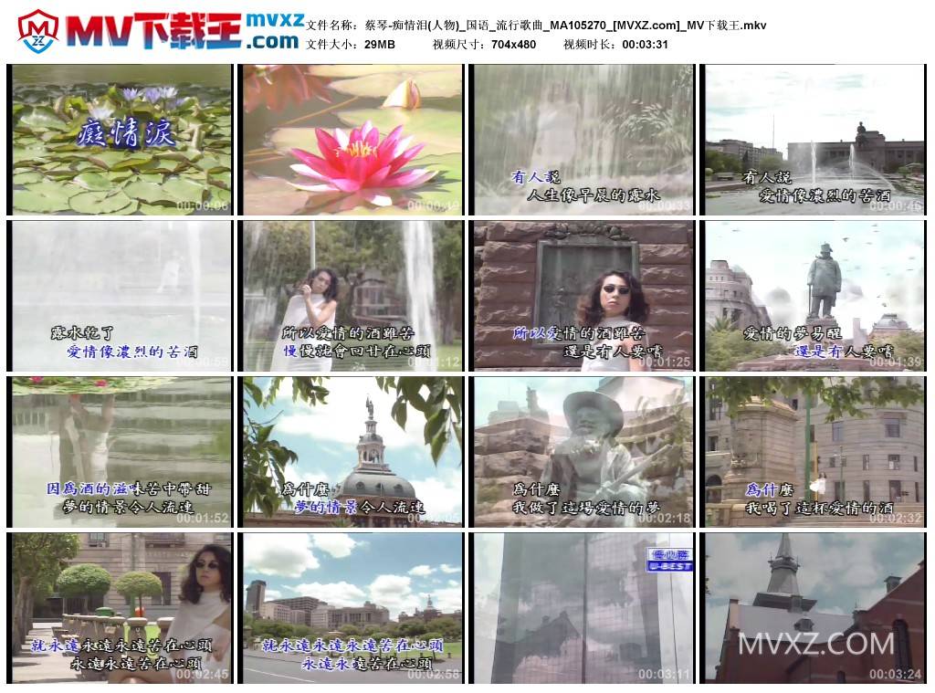 蔡琴-痴情泪(人物)_国语_流行歌曲_MA105270